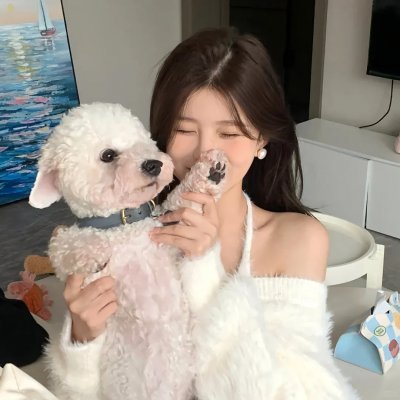 熊猫计划